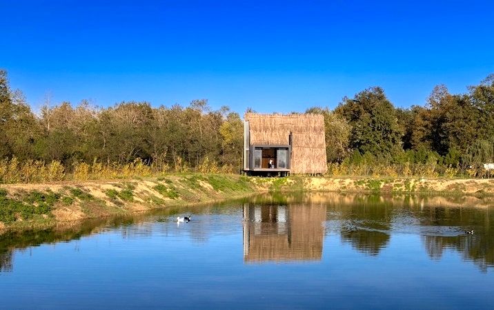 زیبایی چشم‌نواز یک کومۀ گالی‌پوش «مدرن» در مازندران/ تصاویر